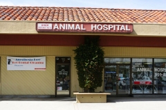 Agoura Hills Animal Hospital