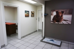 Exam Hallway Entrance